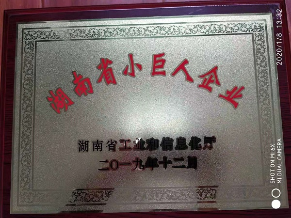 湖南省小巨人企业
